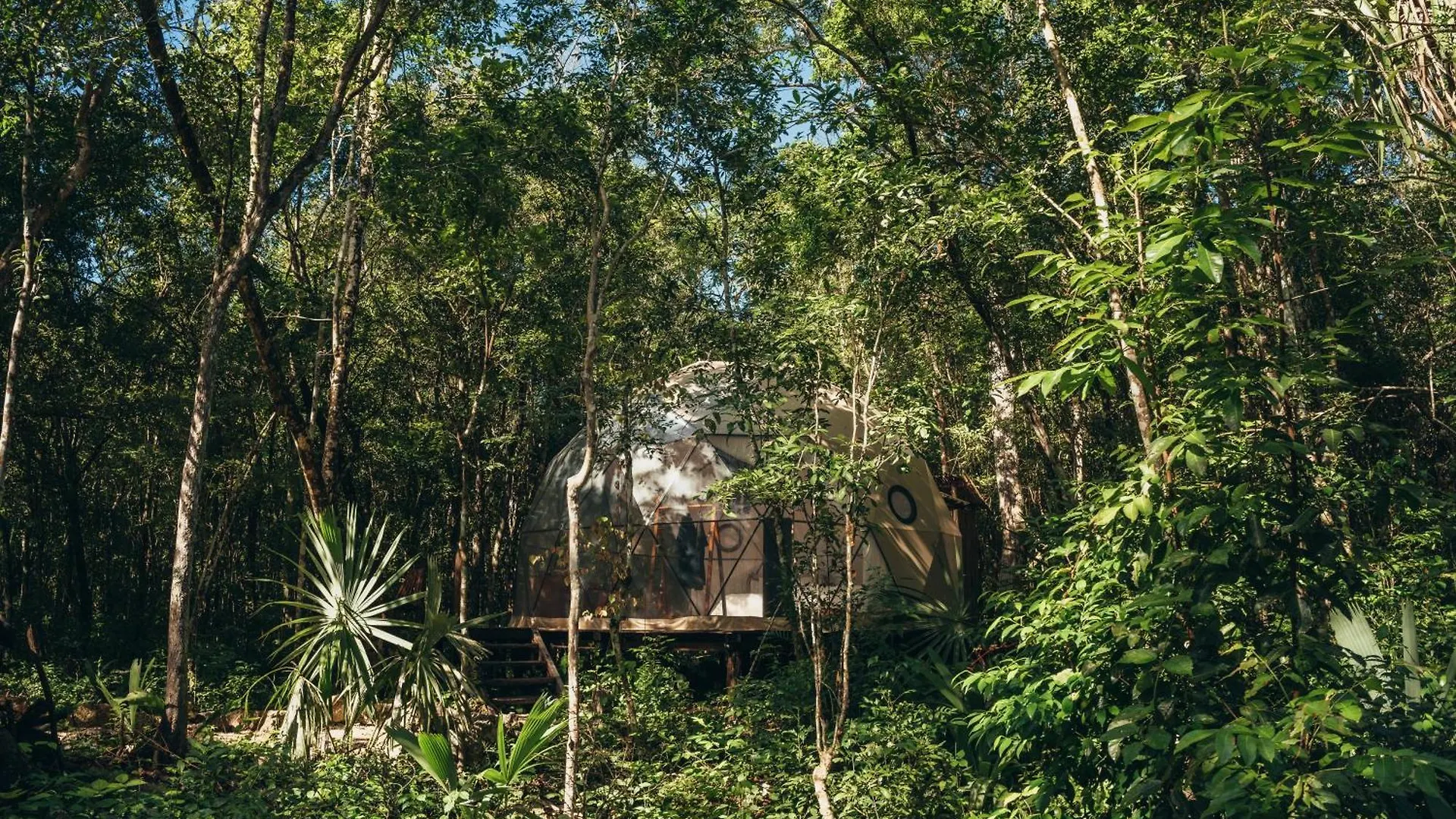 Amaite Retreat Tulum Hotel Macario Gomez Mexico